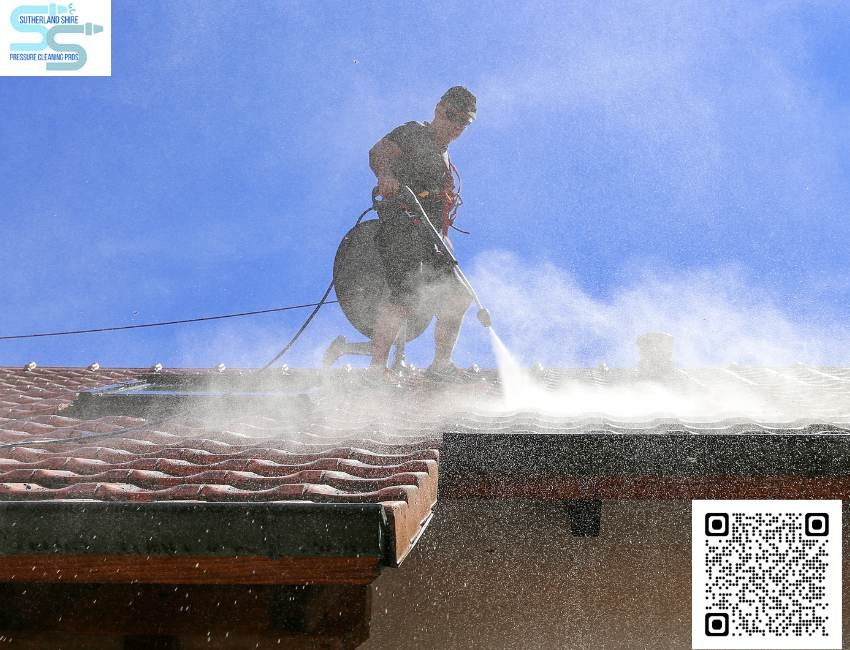 Roof Washing: Extend the Life of Your Home