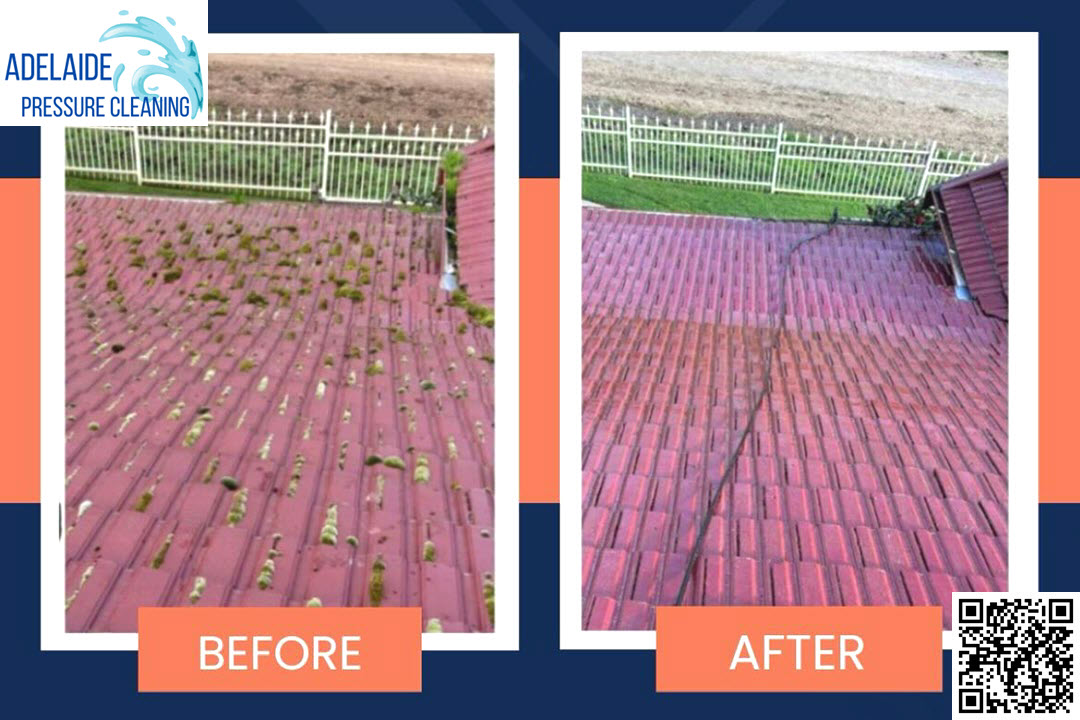 Why Roof Cleaning is Essential for Adelaide Homes