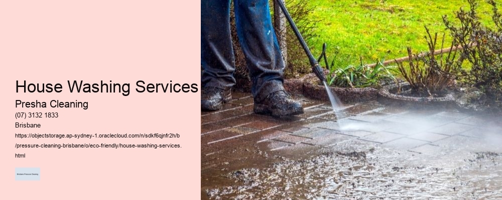 House Washing Services