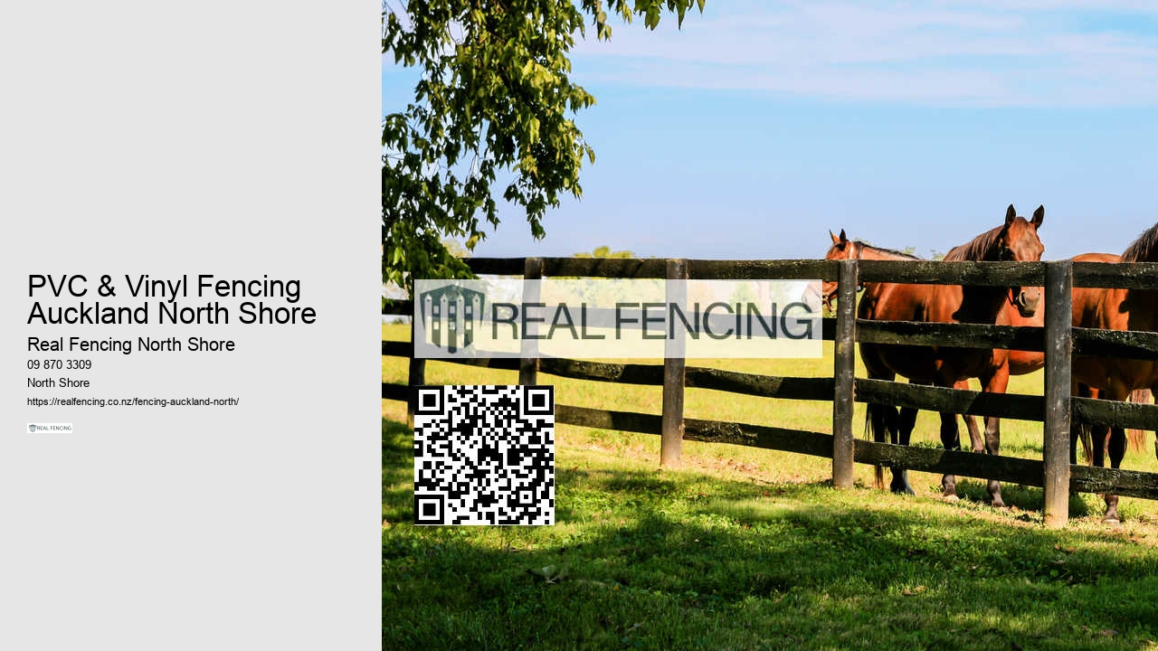 Invisible Dog Fence NZ